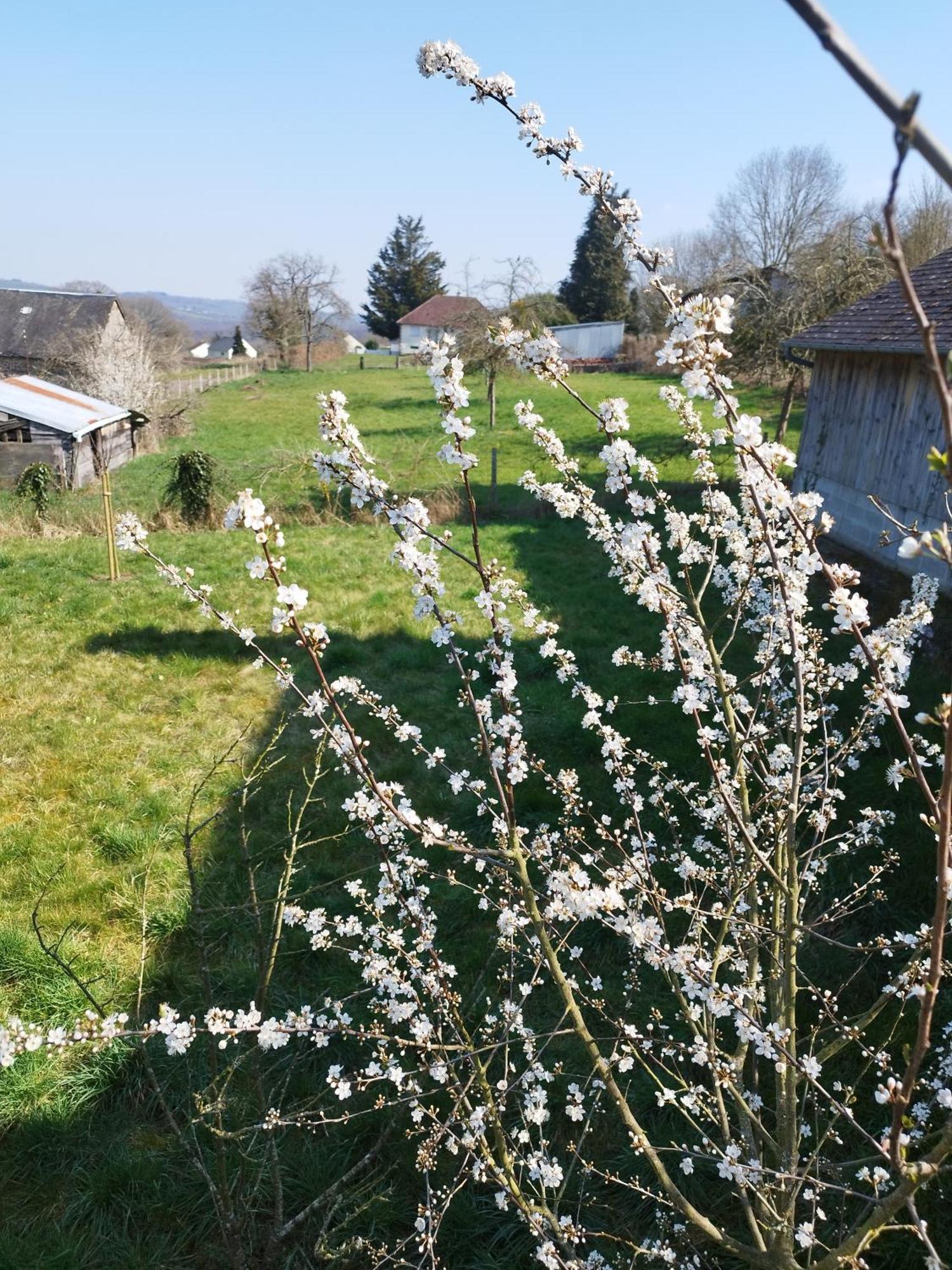 Chalet Des Roches Roche D'Oetre Suisse Normande Saint-Philbert-sur-Orne Zewnętrze zdjęcie